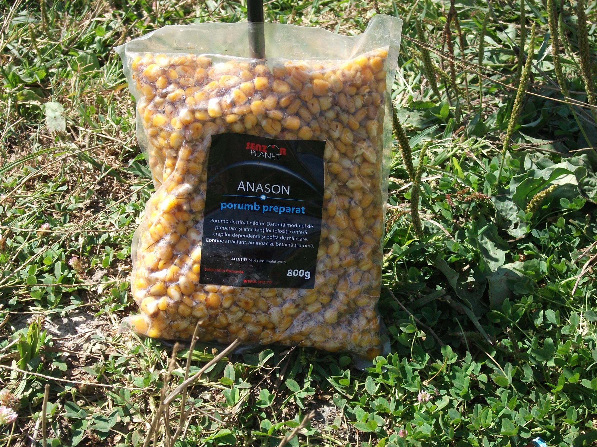 Cernica - dscf1477.jpg